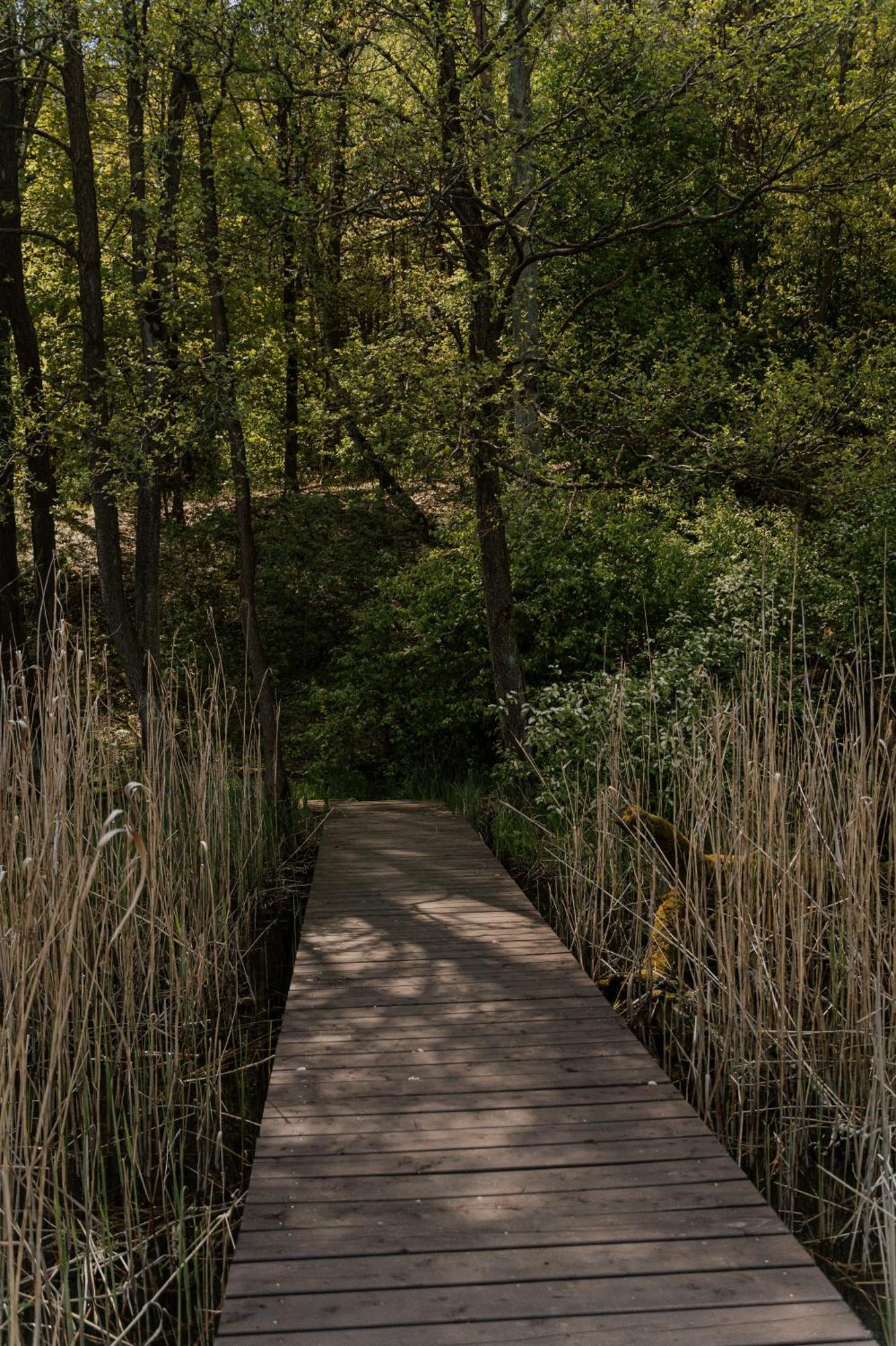 Charszowka Villa Stary Kobrzyniec Buitenkant foto